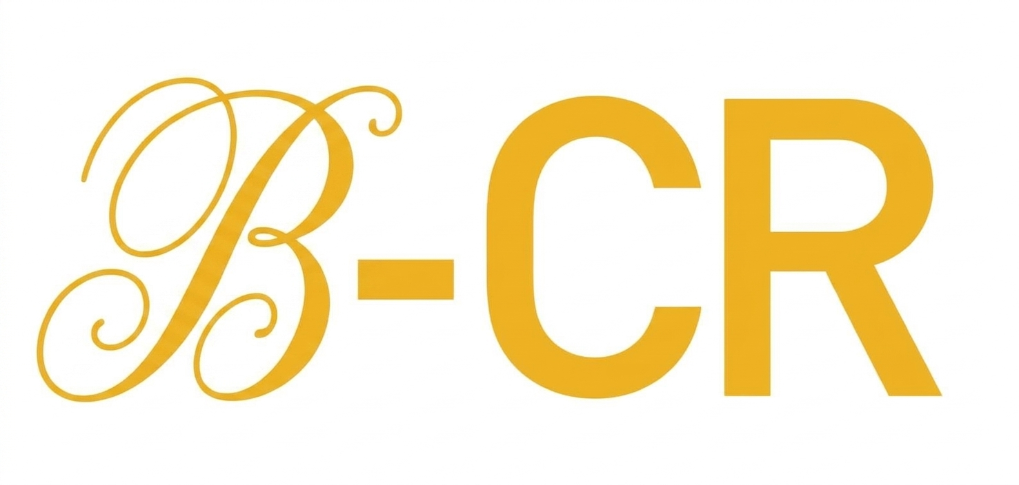 BAI27 logo